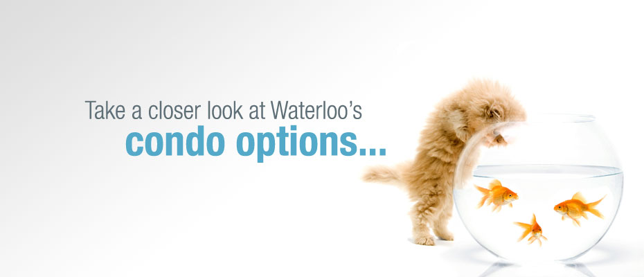 Condominium profiles for sale and lease in Waterloo, Ontario